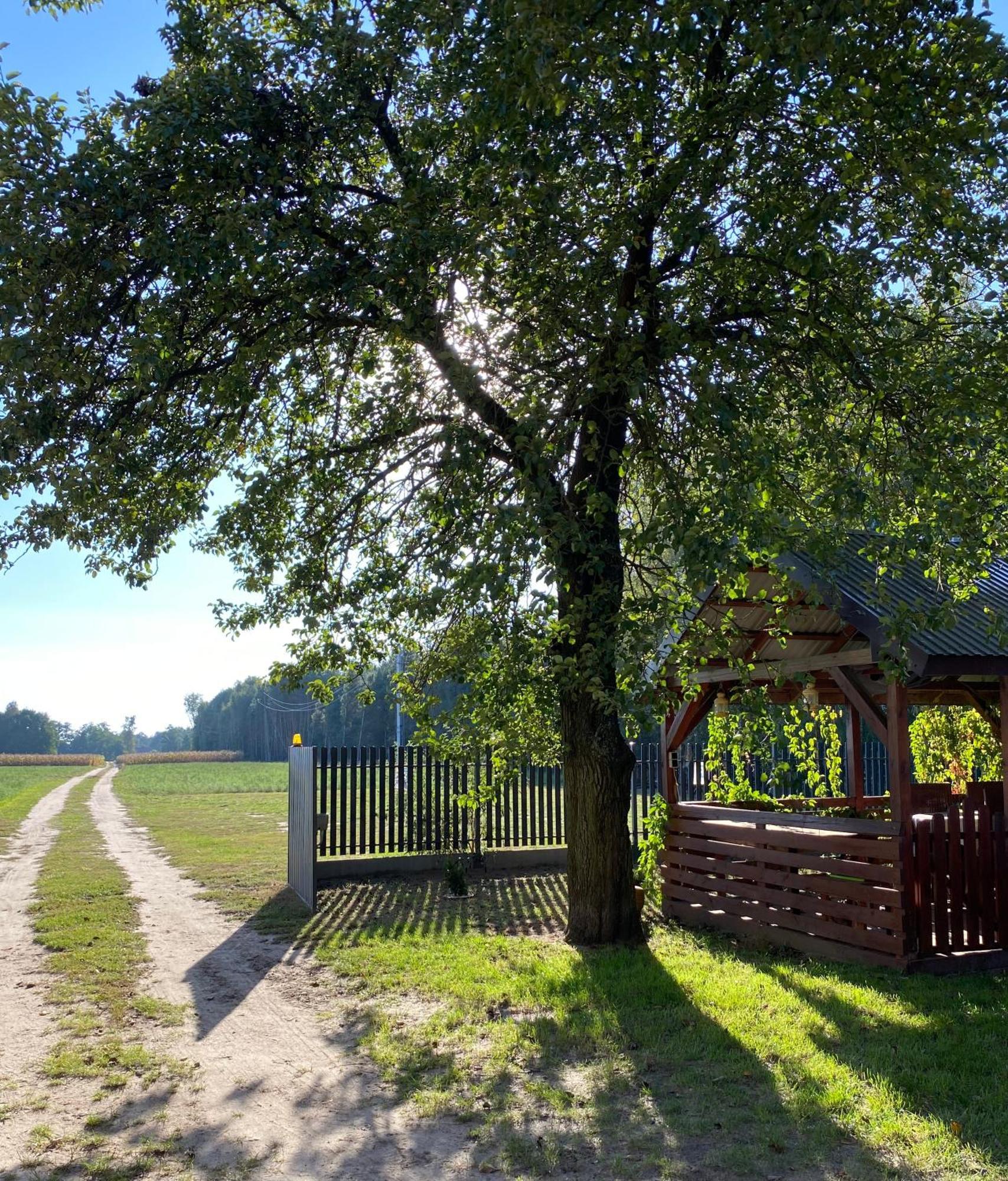 Maciejowka Gospodarstwo Agroturystyczne Poddebice Exterior foto